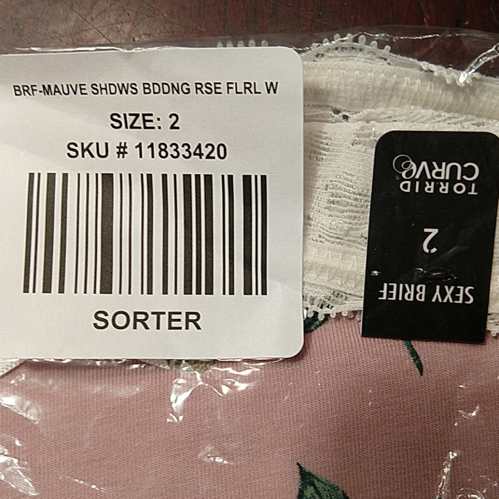 Torrid, size 2 NWT mauve and lace briefs - Picture 3 of 8